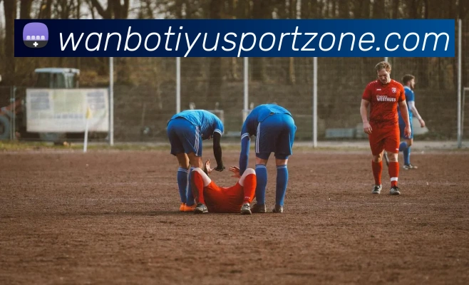 万博体育平台生态图