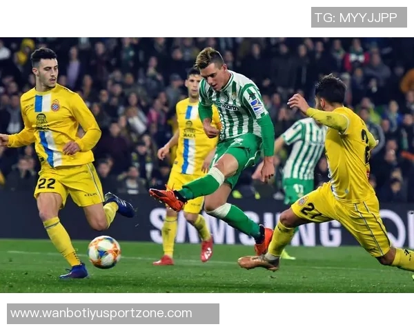 西甲联盟因球场积雪达20厘米申请推迟比赛天气影响引发关注